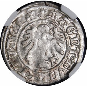 Alexander Jagellonský, Vilniuský půlpenny - gotika - 3. emise