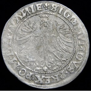 Sigismund I the Old, 1535 penny, Vilnius - LITVAИIE/LITVAИ - rare
