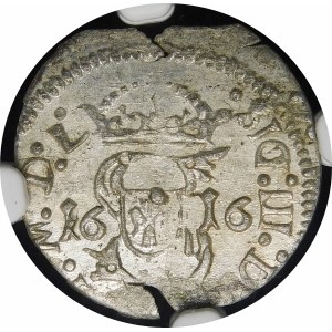 Sigismund III Vasa, Shelrogue 1616, Vilnius