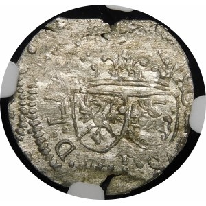 Sigismund III Vasa, Shelrogue 1616, Vilnius