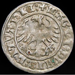 Zygmunt I Stary, Półgrosz 1511, Wilno - dwukropek - przebitka - rzadki