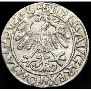 Zygmunt II August, Półgrosz 1558, Wilno - L/LITVA