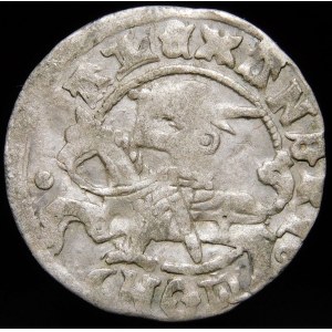 Alexander Jagiellonian, Vilnius halber Pfennig - Renaissance/Gotik - 5. Ausgabe - sehr selten