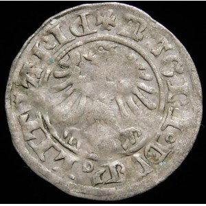 Alexander Jagiellonian, Vilnius halber Pfennig - Renaissance/Gotik - 5. Ausgabe - sehr selten