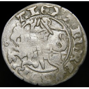 Alexander Jagiellonian, Vilnius half-penny - Gothic/Renaissance - 5th issue - rare