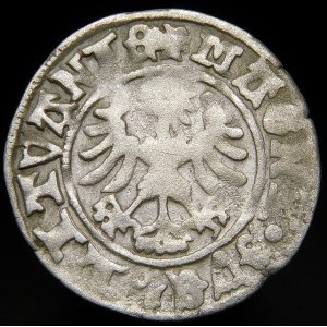 Alexander Jagiellonian, Vilnius half-penny - Gothic/Renaissance - 5th issue - rare
