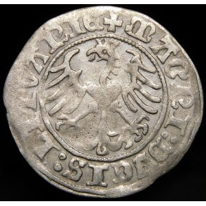 Zikmund I. Starý, půlgroš 1513, Vilnius - DV/SCS arch - velmi vzácný