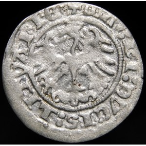 Sigismund I the Old, Half-penny 1513, Vilnius - Ring under the Pogon - rare