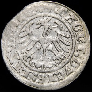 Sigismund I the Old, Half-penny 1516, Vilnius - Rings under and above the Pogon - very rare