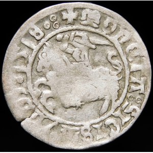 Zygmunt I Stary, Półgrosz 1518, Wilno - gotyk/renesans - dziury w skrzydłach - b. rzadki