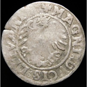 Zygmunt I Stary, Półgrosz 1518, Wilno - gotyk/renesans - dziury w skrzydłach - b. rzadki
