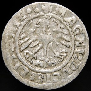 Sigismund I the Old, Half-penny 1519, Vilnius - 5 pennyweights - LITANIA error, punctuation, three dots - rare
