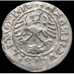 Zygmunt I Stary, Półgrosz 1520, Wilno - błąd SIGISMVANDI∙5Z0 - b. rzadki