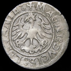 Sigismund I the Old, Half-penny 1523, Vilnius - SIGIMVNDI error - very rare
