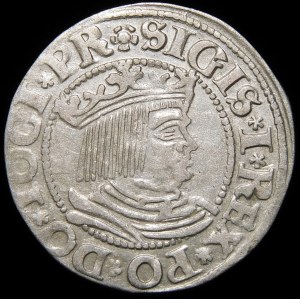 Sigismund I the Old, 1534 penny, Gdansk - PR