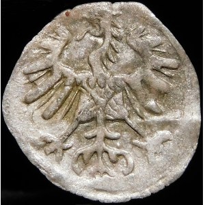 Sigismund II Augustus, Denarius 1555, Vilnius