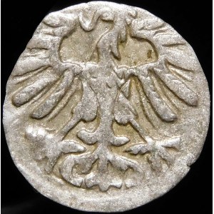 Zygmunt II August, Denar 1557, Wilno