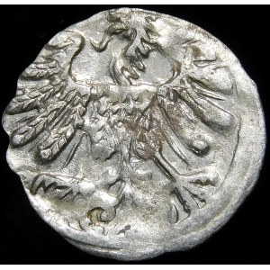 Sigismund II Augustus, Denarius 1558, Vilnius