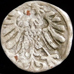 Sigismund II Augustus, Denarius 1558, Vilnius