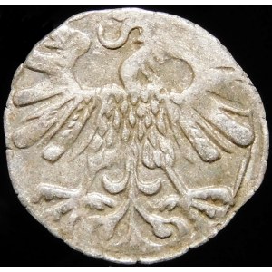 Zygmunt II August, Denar 1559, Wilno