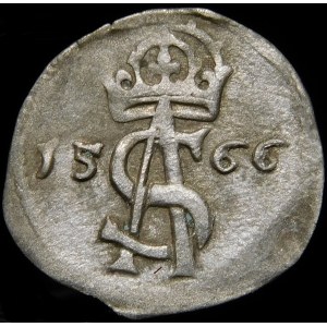 Sigismund II Augustus, Dwudenar 1566, Vilnius