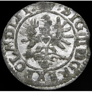 Sigismund III Vasa, 1623 Shelrogue, Vilnius - Eagle, RL - rare and beautiful