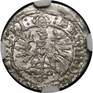 Sigismund III Vasa, 1623 Shelrogue, Vilnius - Eagle - beautiful