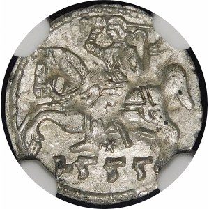 Sigismund II Augustus, Denarius 1555, Vilnius - beautiful