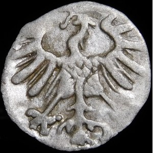 Sigismund II Augustus, Denarius 1556, Vilnius