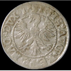Zygmunt II August, Półgrosz 1546, Wilno - starszy typ Orła - L/LITV