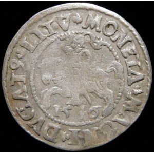 Zygmunt II August, Półgrosz 1546, Wilno - starszy typ Orła - przebitka DV/ΛX - rzadki