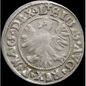 Zygmunt II August, Półgrosz 1546, Wilno - starszy typ Orła - przebitka DV/ΛX - rzadki