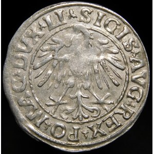 Zygmunt II August, Półgrosz 1547, Wilno - LI/LITVA
