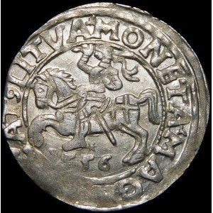 Sigismund II Augustus, Half-penny 1556, Vilnius - LI/LITVA - variant