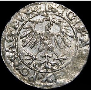 Sigismund II Augustus, Half-penny 1556, Vilnius - LI/LITVA - variant