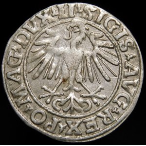 Sigismund II Augustus, Half-penny 1548, Vilnius - Roman I, LI/LITVA