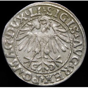 Sigismund II Augustus, Half-penny 1548, Vilnius - Roman I, LI/LITVA