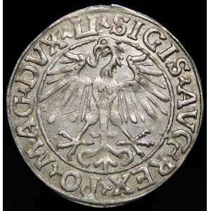 Sigismund II Augustus, Half-penny 1548, Vilnius - Arabic 1, LI/LITVA