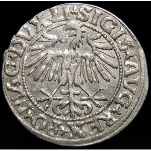 Sigismund II Augustus, Half-penny 1549, Vilnius - 10 Pogon, LI/LITVA