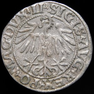 Sigismund II Augustus, Half-penny 1549, Vilnius - 10 Pogon, LI/LITVA