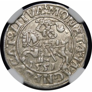 Zikmund II August, půlpenny 1551, Vilnius - LI/LITVA - vzácnější