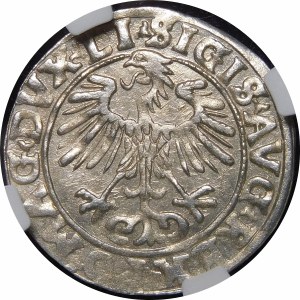 Sigismund II Augustus, Half-penny 1556, Vilnius - LI/LITVA