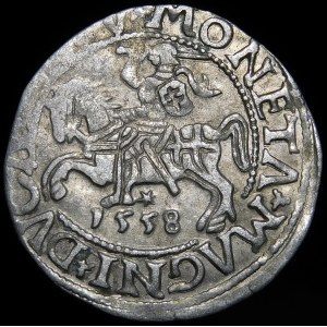 Zikmund II Augustus, půlpenny 1558, Vilnius - LI/LITV - A bez příčky - vzácné
