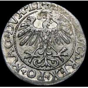 Zikmund II Augustus, půlpenny 1558, Vilnius - LI/LITV - A bez příčky - vzácné