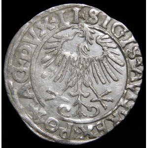Sigismund II Augustus, Half-penny 1556, Vilnius - LI/LITVA - variant