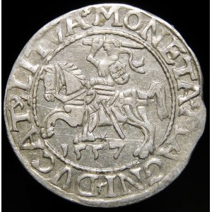 Sigismund II Augustus, Half-penny 1557, Vilnius - L/LITVA