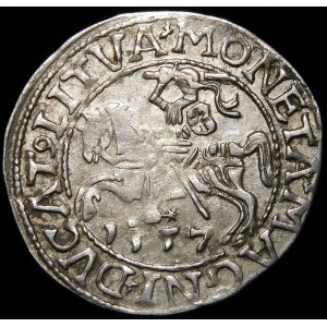 Sigismund II Augustus, Half-penny 1557, Vilnius - LI/LITVA - variant
