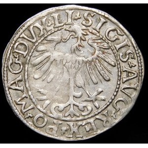 Sigismund II Augustus, Half-penny 1557, Vilnius - LI/LITVA - variant