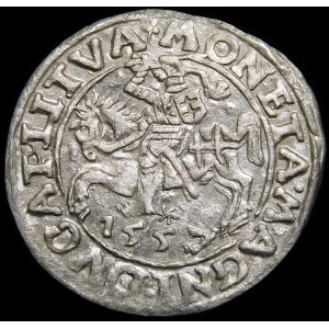 Zygmunt II August, Półgrosz 1557, Wilno - trójlistki - Behm - b. ładny