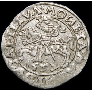 Zygmunt II August, Półgrosz 1557, Wilno - trójlistki - Behm - piękny